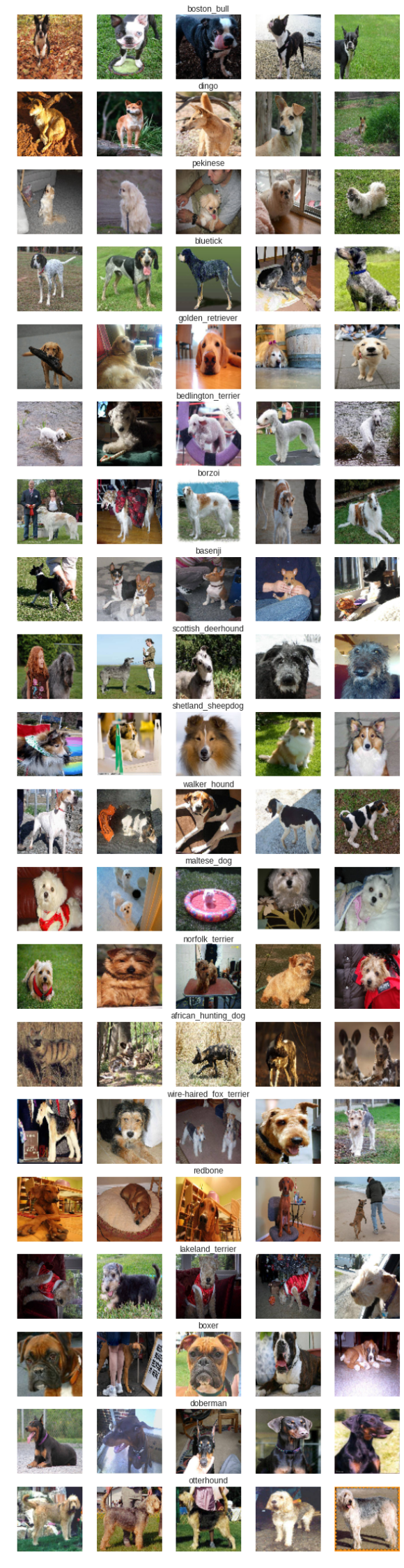 20_dogs_1